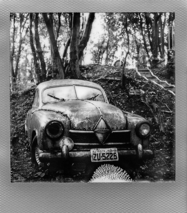 Autolegenden im Wald 3