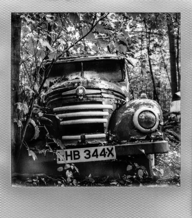 Autolegenden im Wald 6