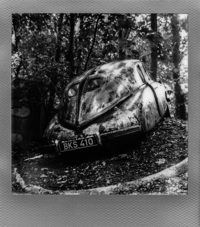 Autolegenden im Wald 9