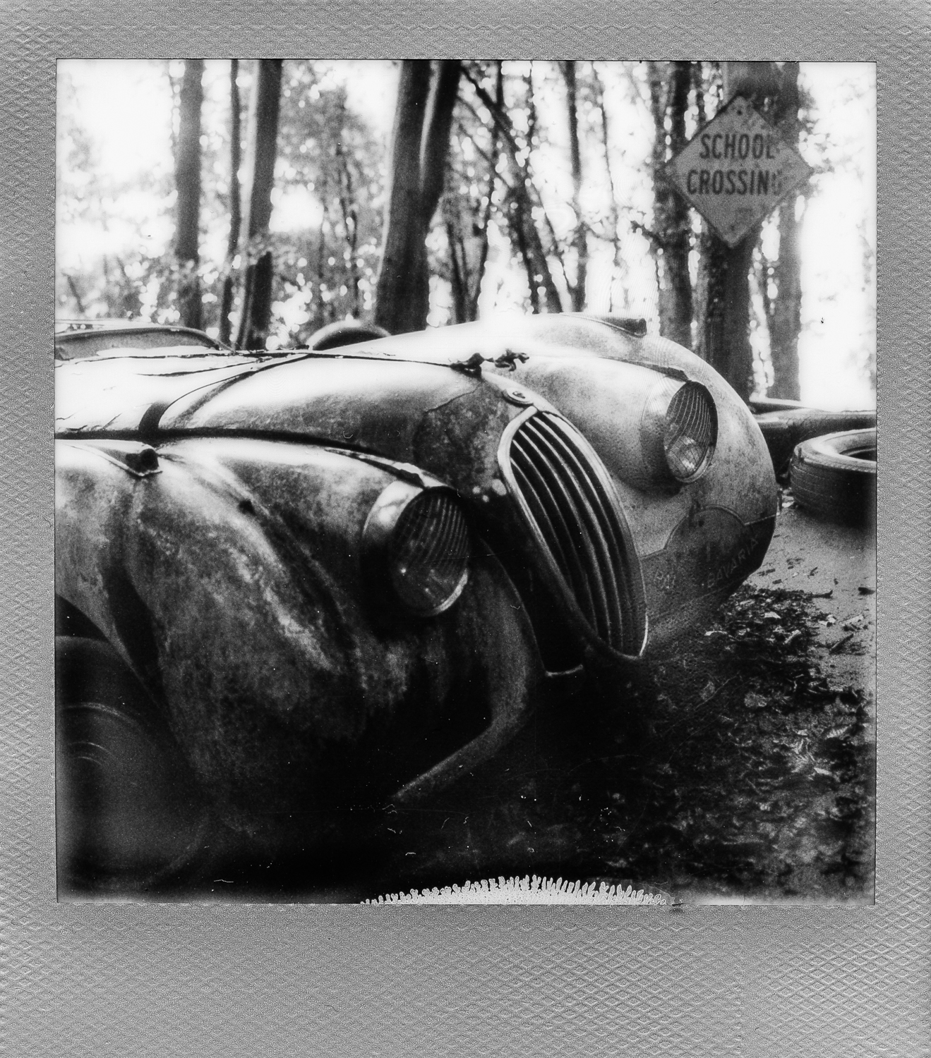 Autolegenden im Wald