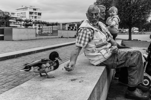 Dortrmund Hörde 005