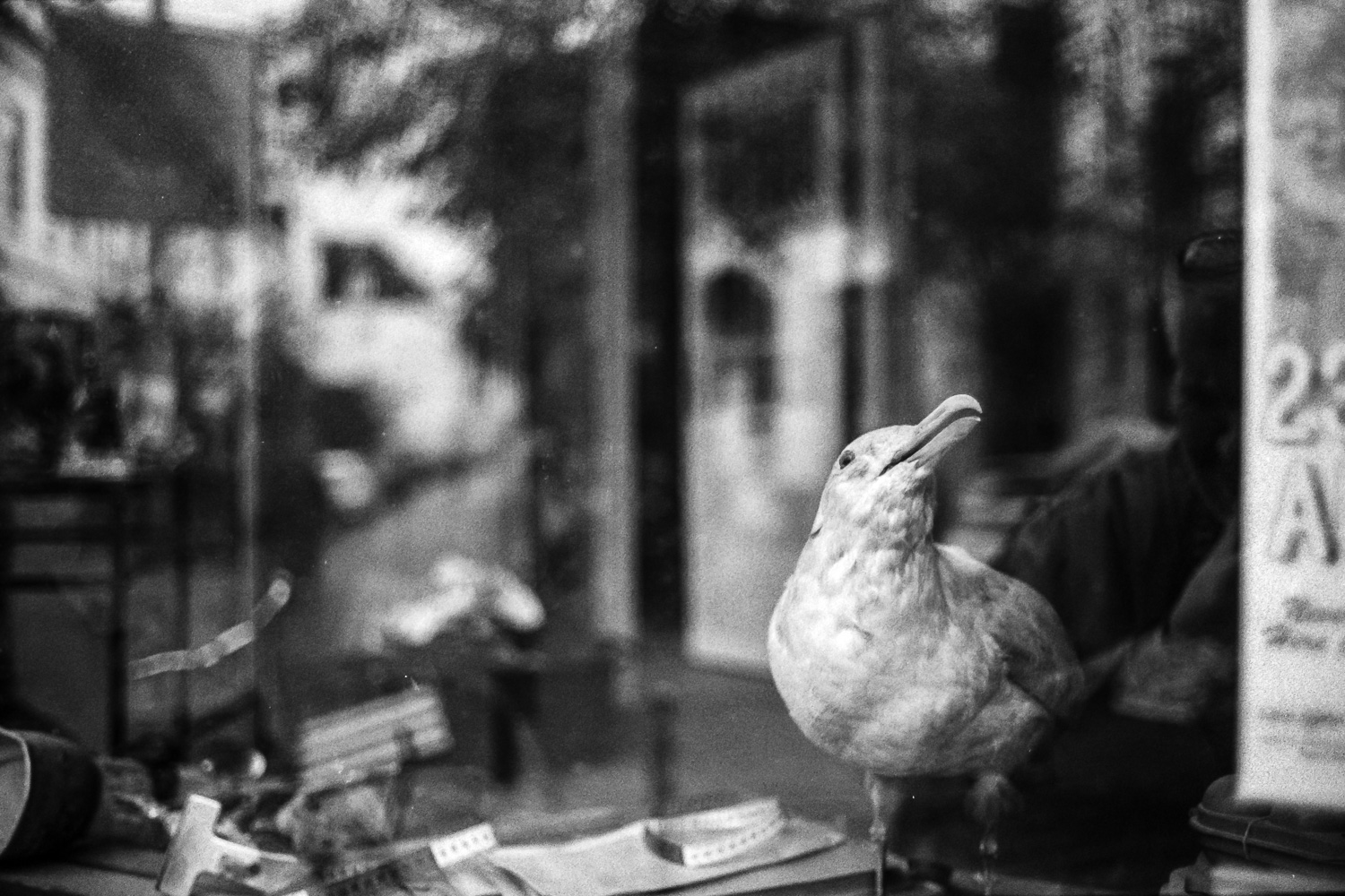 Bremen M7 (1 von 1)-7